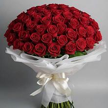 Букет 101 Красная роза Блэк Мэджик в Кущевской