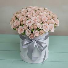 Цветочная композиция из Розы в шляпной коробке #REPLACE_PRED# Кущевской