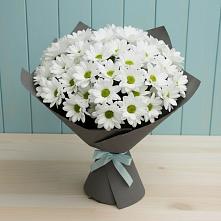 Букет цветов из:  Хризантемы в Кущевской