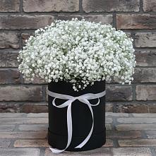 Цветочная композиция из Гипсофила в шляпной коробке в Кущевской