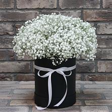 Цветочная композиция из Гипсофила в шляпной коробке в Кущевской
