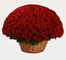 Премиум букет из: Розы в Кущевской