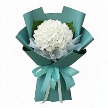 Букет цветов из:  Гортензия в Кущевской